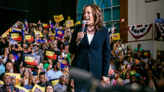 How much crypto does kamala harris own